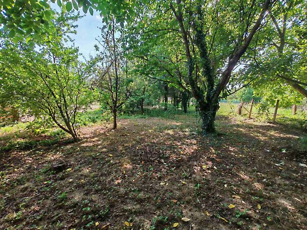 Eladó földterület Zalavár