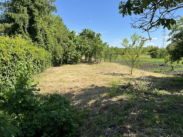 Eladó földterület Sajóivánka