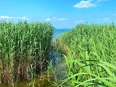 Eladó földterület Balatonmáriafürdő