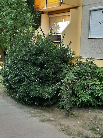 Eladó lakás Debrecen
