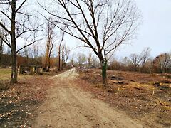 Eladó földterület Martonvásár