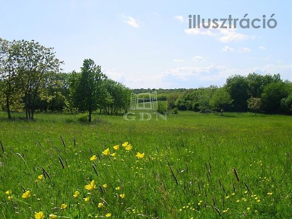 Eladó földterület Iszkaszentgyörgy