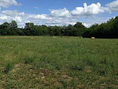 Eladó földterület Balatonederics