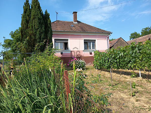 Eladó ház Felsőszenterzsébet