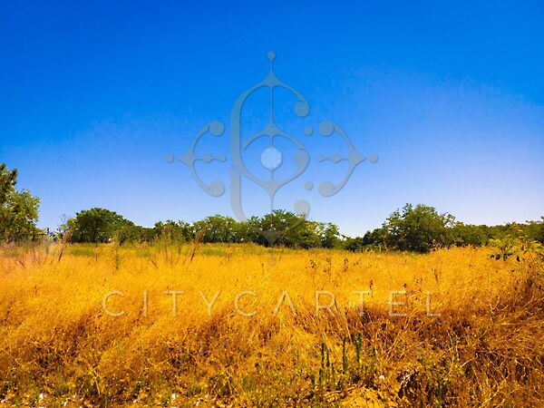 Eladó földterület Dunaegyháza