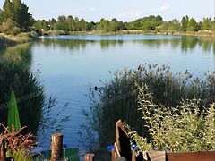 Eladó ház Délegyháza