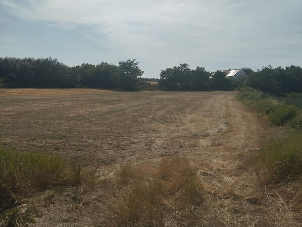 Eladó földterület Makó