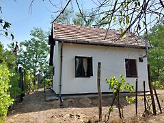 Eladó ház Csongrád, Bokros