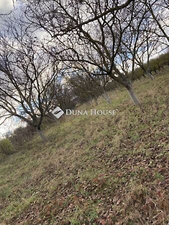 Eladó földterület Mány