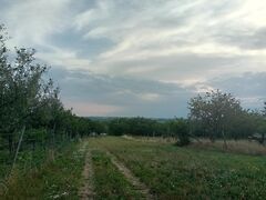 Eladó földterület Szomód