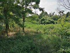 Eladó földterület Szőlősgyörök