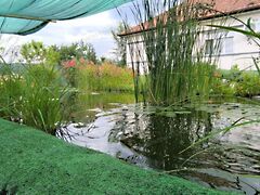 Eladó ház Táborfalva