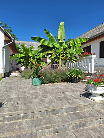 Eladó üzleti Vonyarcvashegy