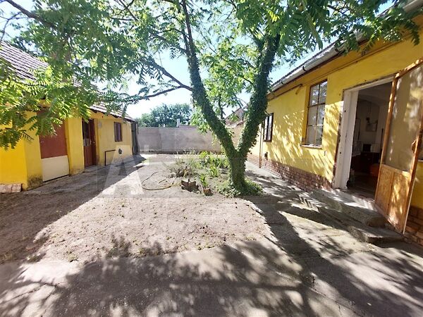 Eladó ház Balástya