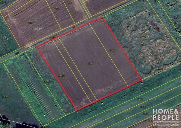 Eladó földterület Makó