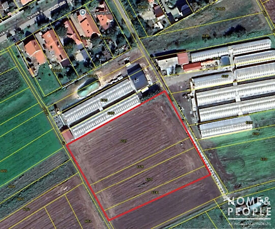 Eladó földterület Makó