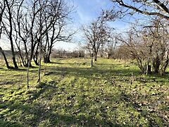 Eladó ház Kecskemét