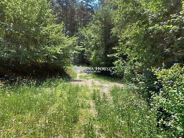 Eladó földterület Máriahalom