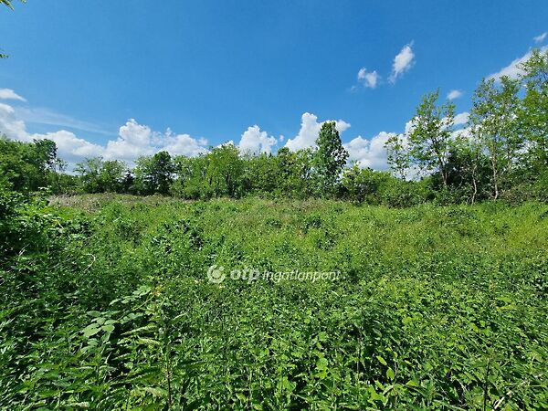 Eladó földterület Mihályháza