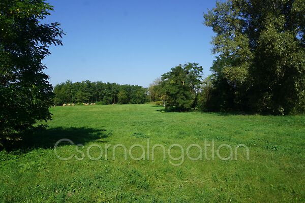 Eladó földterület Vönöck