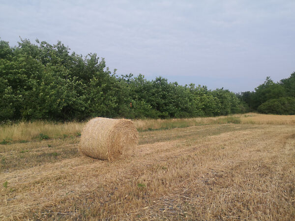Eladó földterület Biharugra