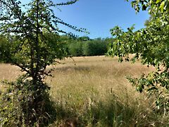 Eladó földterület Siófok