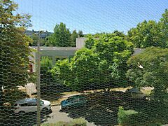 Eladó lakás Szolnok, Belváros