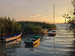 Eladó lakás Balatonvilágos