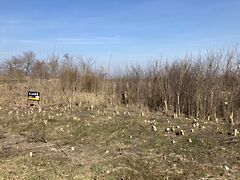 Eladó földterület Tiszanána