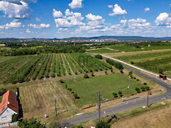 Eladó földterület Raposka