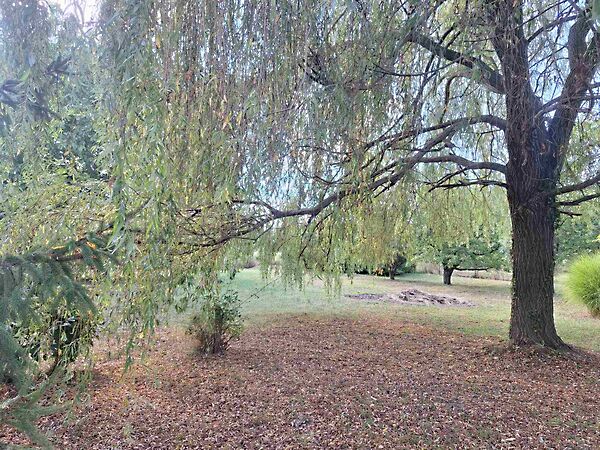 Eladó földterület Kisasszond