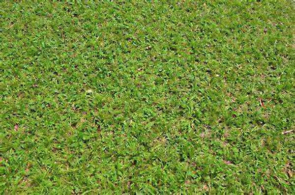 Eladó földterület Andocs