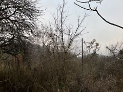 Eladó földterület Budaörs