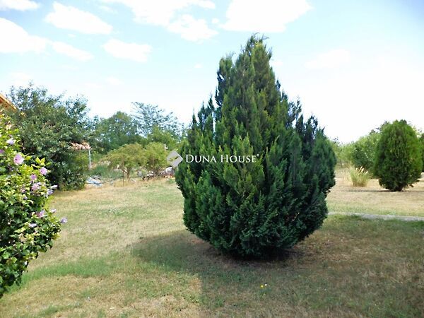 Eladó földterület Pázmánd