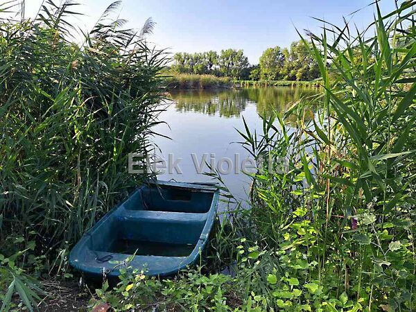 Eladó nyaraló Szajol