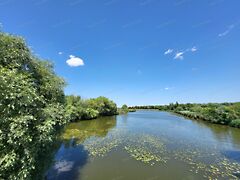 Eladó nyaraló Győr, Rabkert