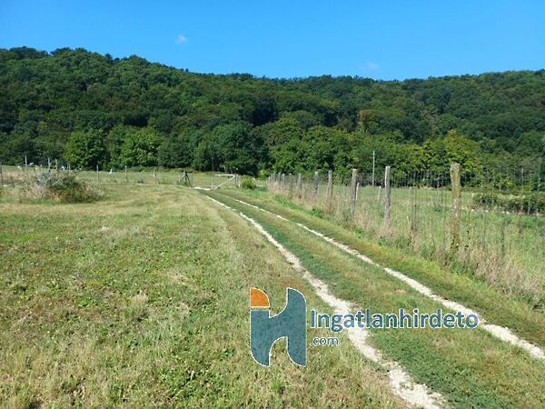 Eladó földterület Vállus