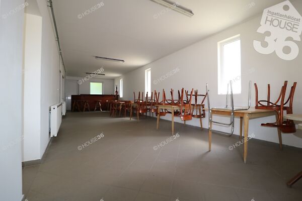 Eladó üzleti Pirtó