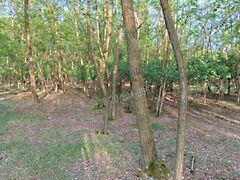 Eladó földterület Siklós