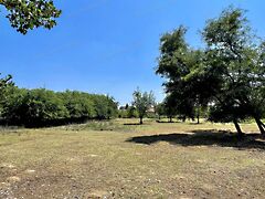 Eladó földterület Kiskunhalas, Kertváros