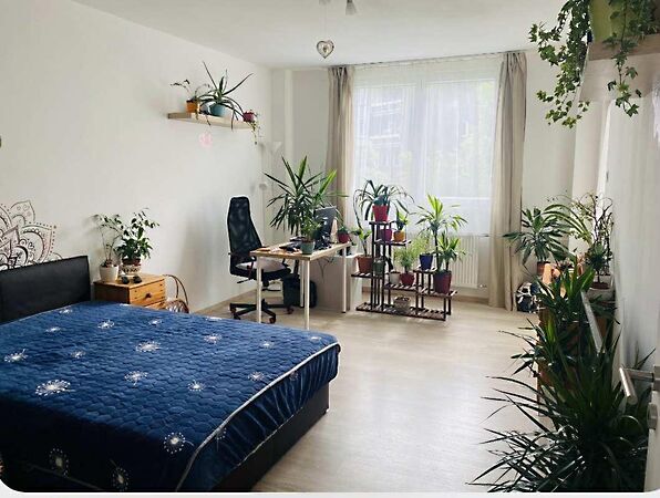 Eladó lakás Tatabánya