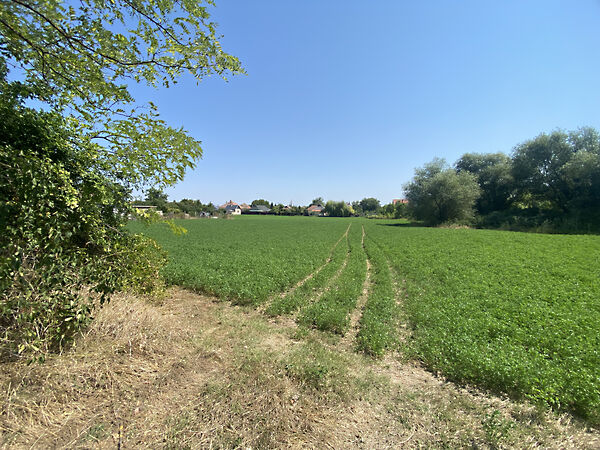 Eladó földterület Mezőkeresztes