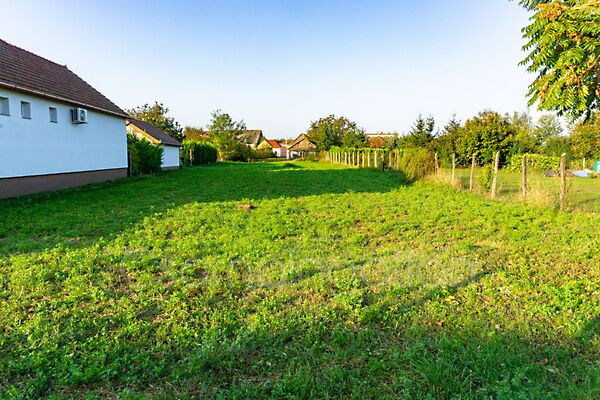 Eladó földterület Barbacs