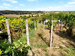 Eladó nyaraló Mohács