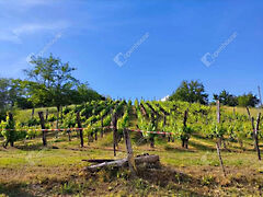 Eladó földterület Kőröshegy