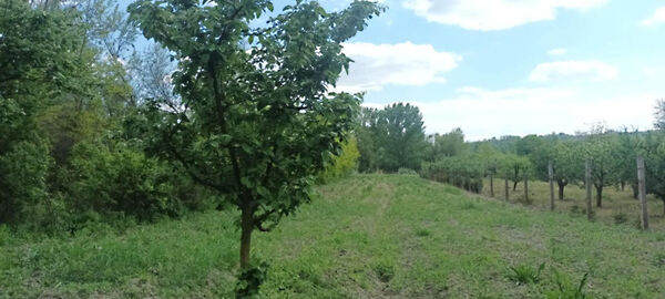 Eladó földterület Szűcsi