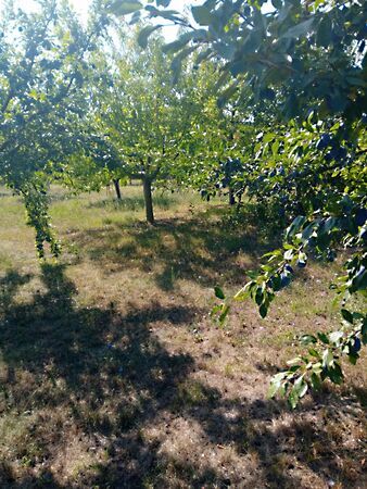 Eladó földterület Gyomaendrőd, Külterület