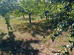 Eladó földterület Gyomaendrőd, Külterület