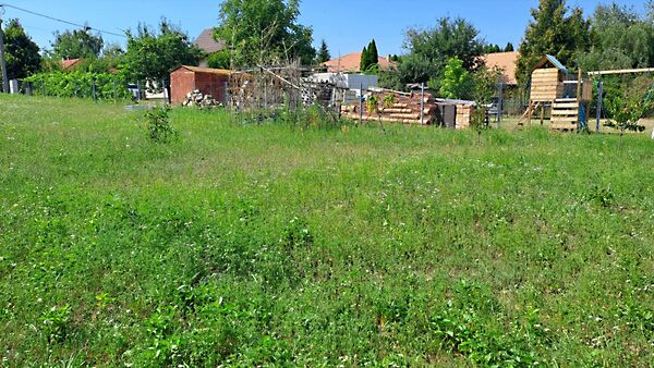 Eladó földterület Szőlősgyörök