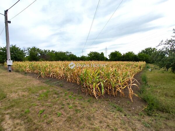 Eladó földterület Békéscsaba